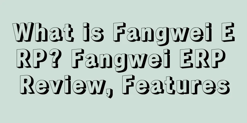 What is Fangwei ERP? Fangwei ERP Review, Features