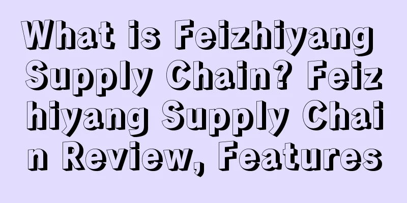 What is Feizhiyang Supply Chain? Feizhiyang Supply Chain Review, Features