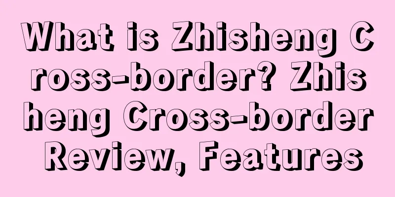 What is Zhisheng Cross-border? Zhisheng Cross-border Review, Features