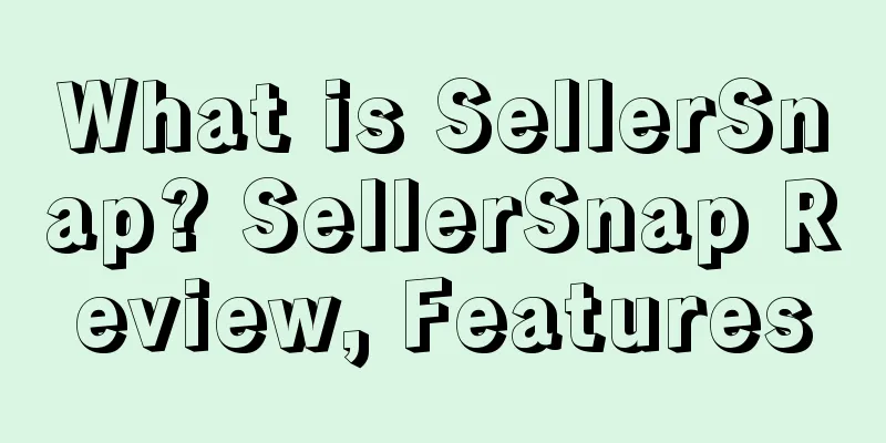 What is SellerSnap? SellerSnap Review, Features