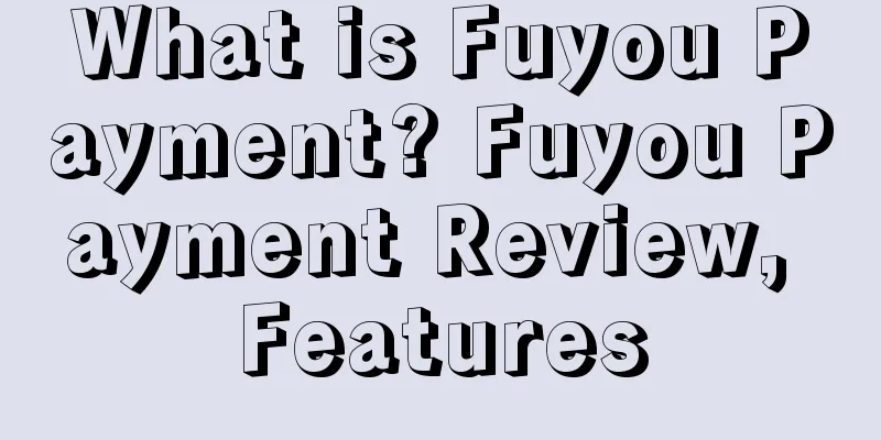 What is Fuyou Payment? Fuyou Payment Review, Features