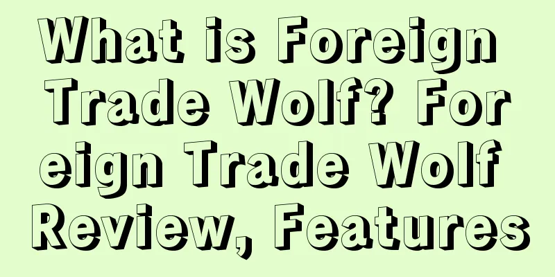 What is Foreign Trade Wolf? Foreign Trade Wolf Review, Features