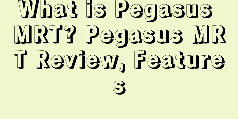 What is Pegasus MRT? Pegasus MRT Review, Features