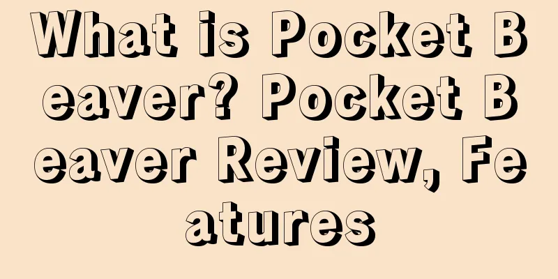What is Pocket Beaver? Pocket Beaver Review, Features
