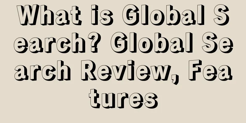 What is Global Search? Global Search Review, Features
