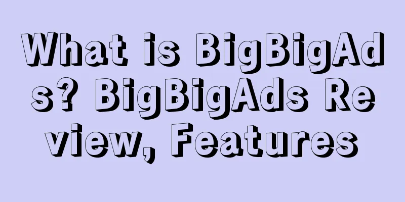 What is BigBigAds? BigBigAds Review, Features