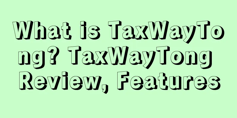 What is TaxWayTong? TaxWayTong Review, Features