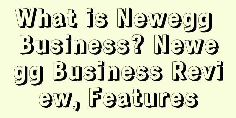 What is Newegg Business? Newegg Business Review, Features