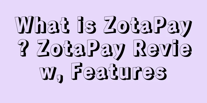 What is ZotaPay? ZotaPay Review, Features