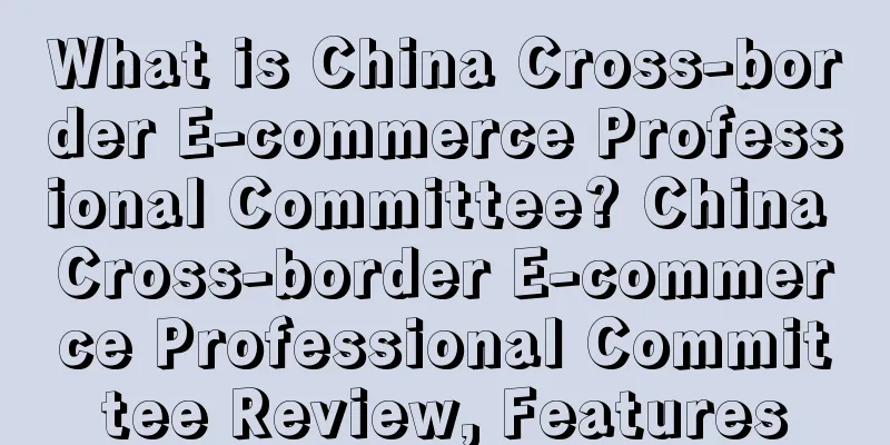 What is China Cross-border E-commerce Professional Committee? China Cross-border E-commerce Professional Committee Review, Features