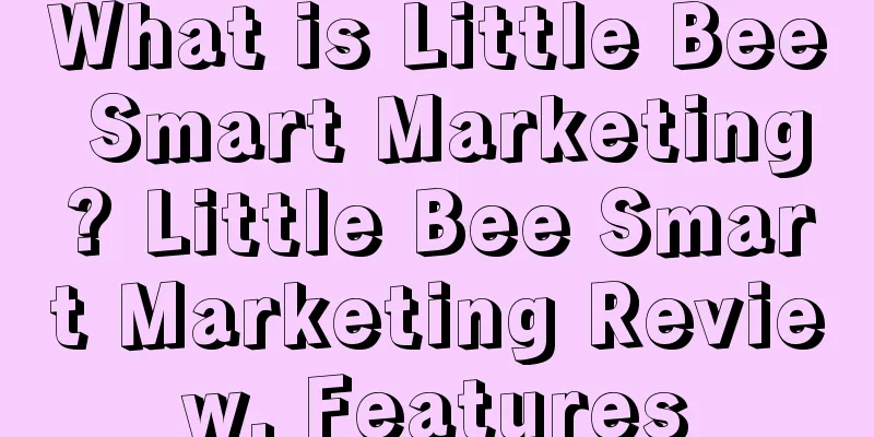 What is Little Bee Smart Marketing? Little Bee Smart Marketing Review, Features