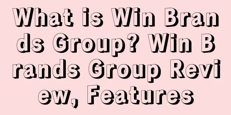 What is Win Brands Group? Win Brands Group Review, Features