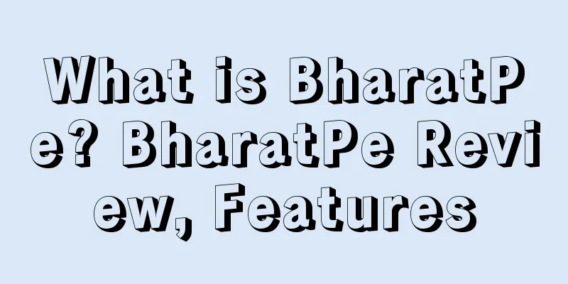 What is BharatPe? BharatPe Review, Features