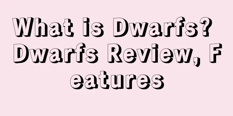 What is Dwarfs? Dwarfs Review, Features
