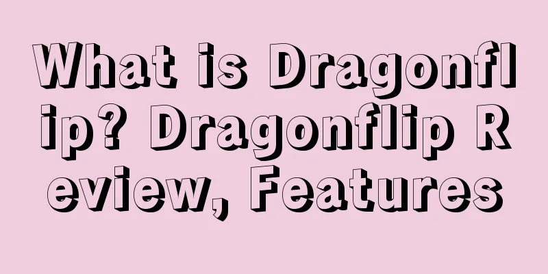 What is Dragonflip? Dragonflip Review, Features