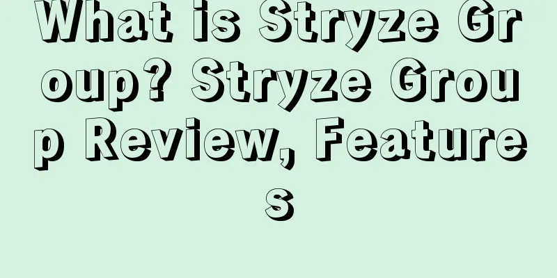 What is Stryze Group? Stryze Group Review, Features
