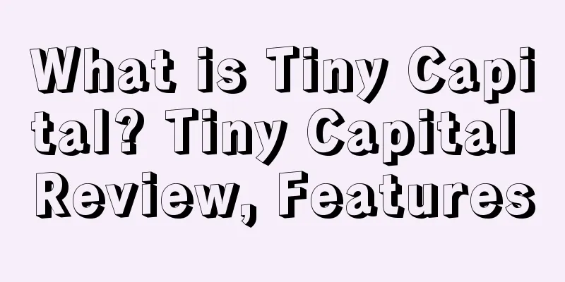 What is Tiny Capital? Tiny Capital Review, Features