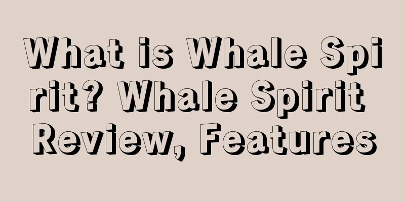 What is Whale Spirit? Whale Spirit Review, Features