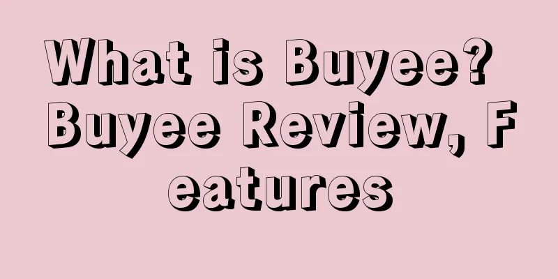 What is Buyee? Buyee Review, Features