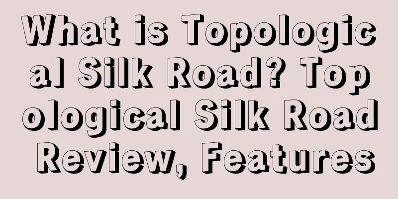 What is Topological Silk Road? Topological Silk Road Review, Features