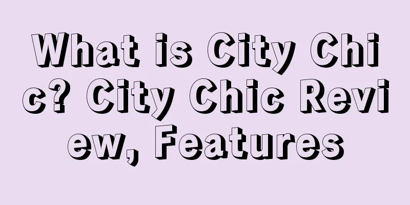 What is City Chic? City Chic Review, Features