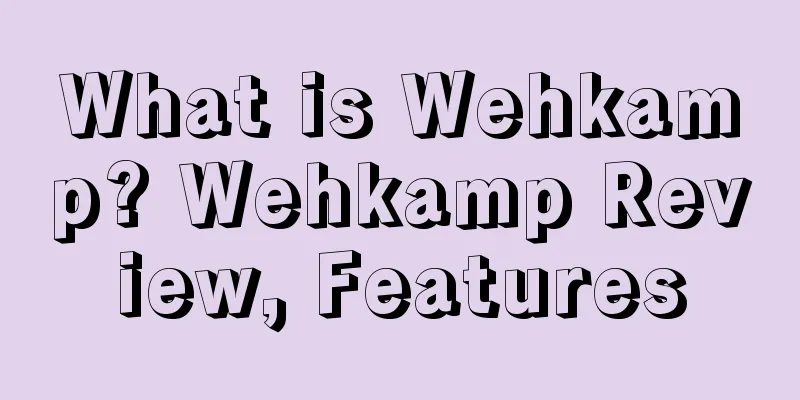 What is Wehkamp? Wehkamp Review, Features