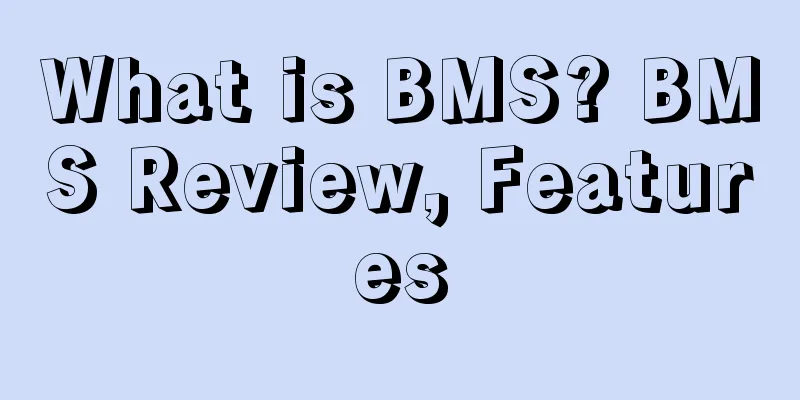 What is BMS? BMS Review, Features
