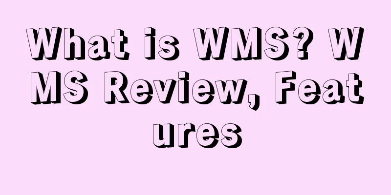 What is WMS? WMS Review, Features