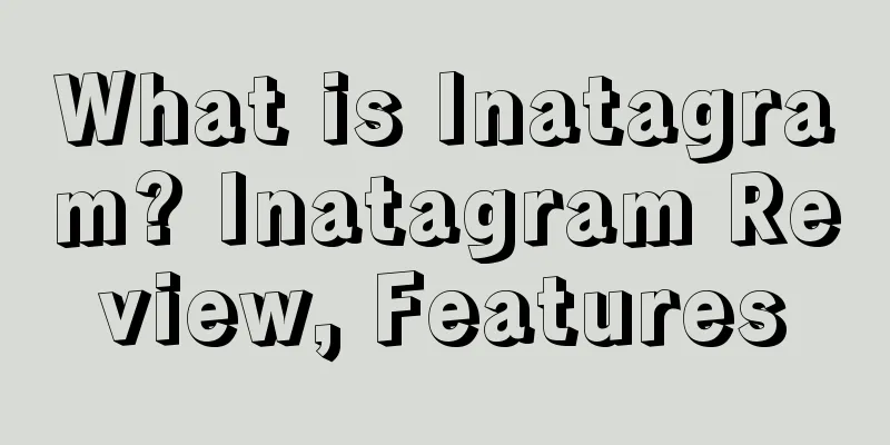 What is Inatagram? Inatagram Review, Features