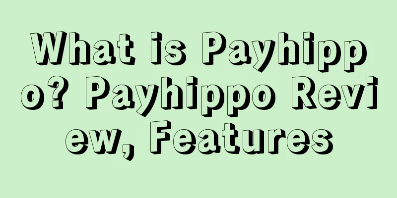 What is Payhippo? Payhippo Review, Features