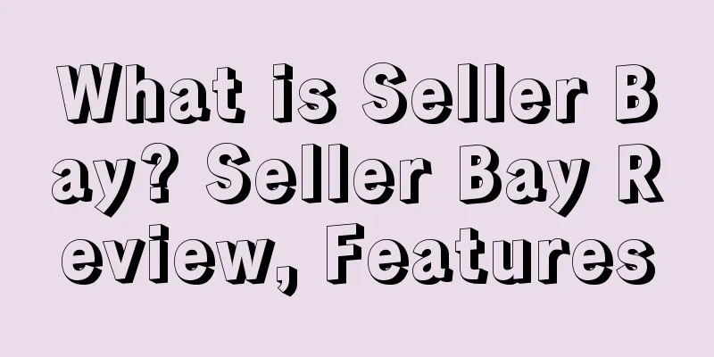 What is Seller Bay? Seller Bay Review, Features