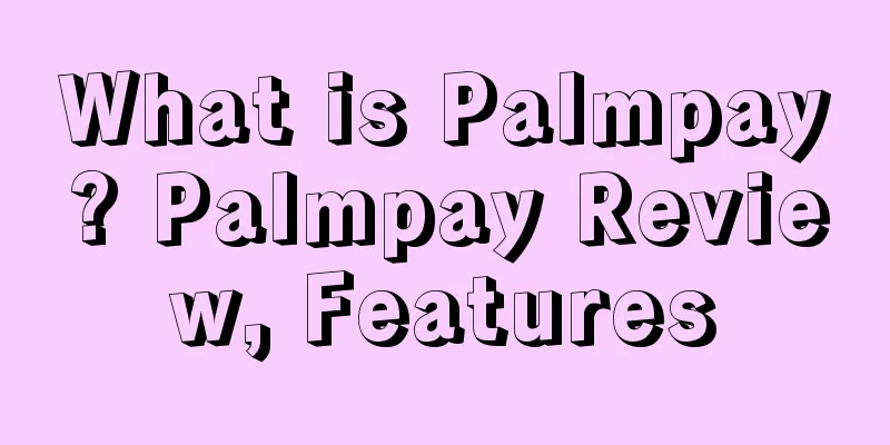 What is Palmpay? Palmpay Review, Features