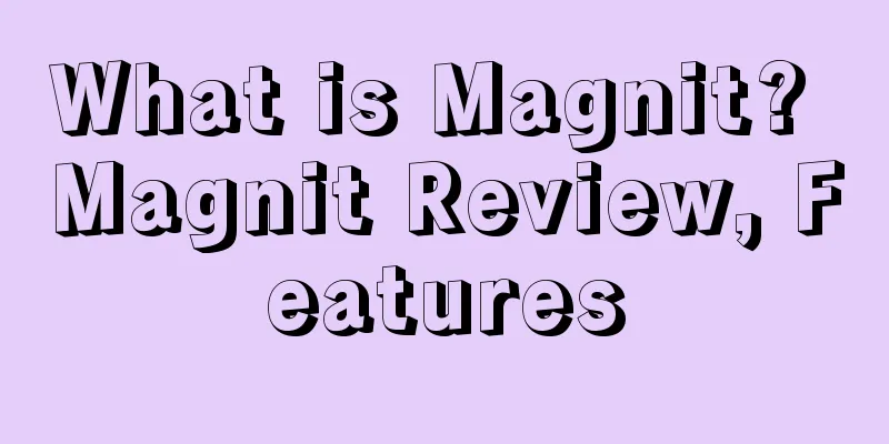 What is Magnit? Magnit Review, Features