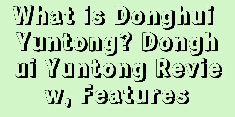 What is Donghui Yuntong? Donghui Yuntong Review, Features