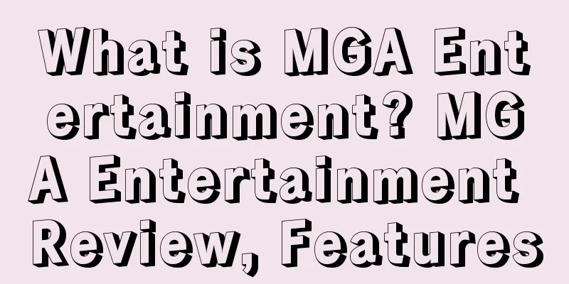 What is MGA Entertainment? MGA Entertainment Review, Features