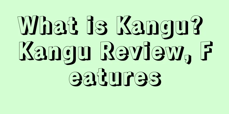 What is Kangu? Kangu Review, Features