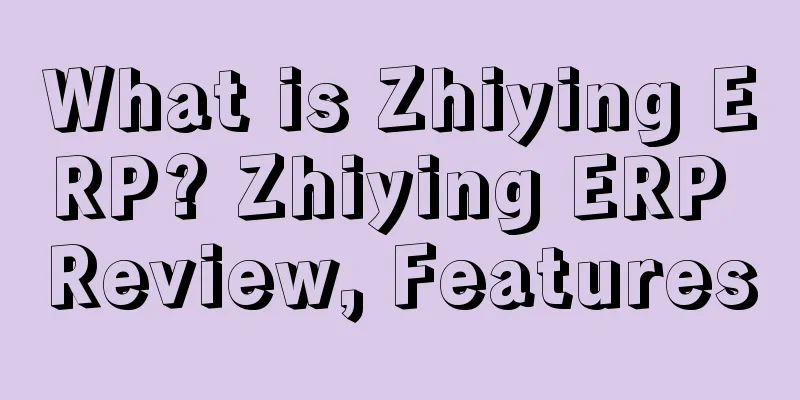 What is Zhiying ERP? Zhiying ERP Review, Features