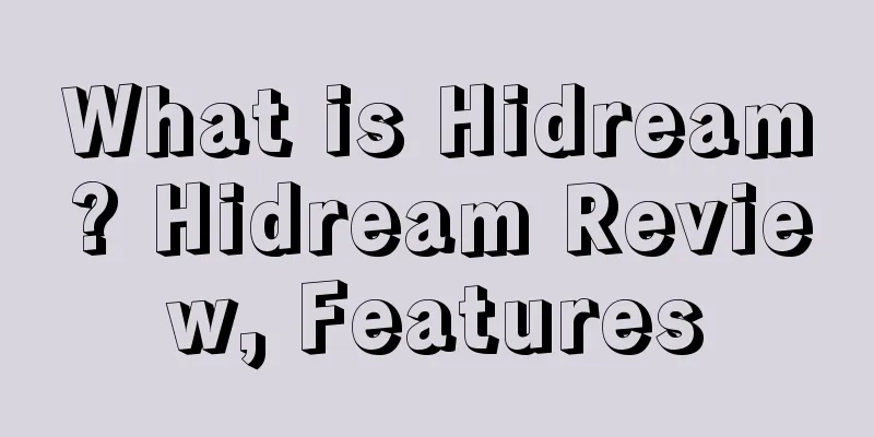 What is Hidream? Hidream Review, Features
