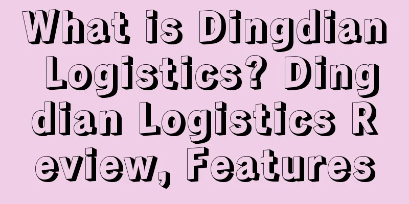 What is Dingdian Logistics? Dingdian Logistics Review, Features