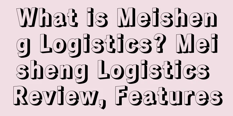 What is Meisheng Logistics? Meisheng Logistics Review, Features