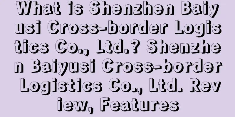 What is Shenzhen Baiyusi Cross-border Logistics Co., Ltd.? Shenzhen Baiyusi Cross-border Logistics Co., Ltd. Review, Features