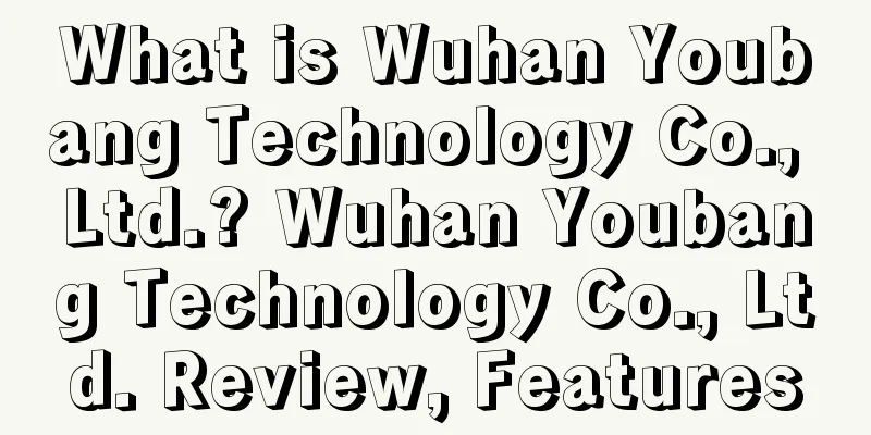 What is Wuhan Youbang Technology Co., Ltd.? Wuhan Youbang Technology Co., Ltd. Review, Features