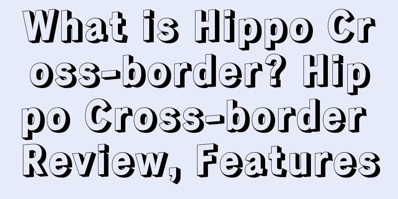 What is Hippo Cross-border? Hippo Cross-border Review, Features