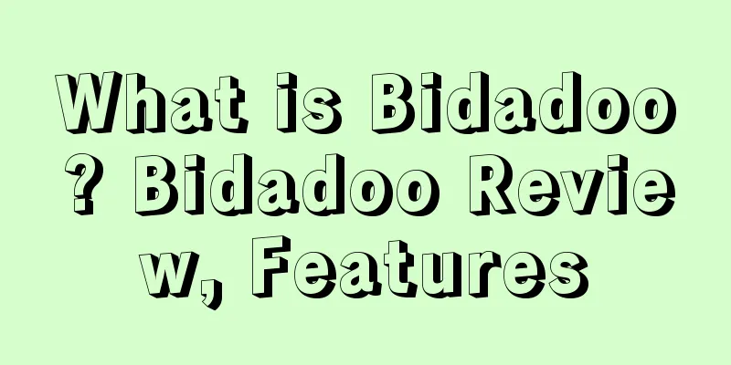 What is Bidadoo? Bidadoo Review, Features