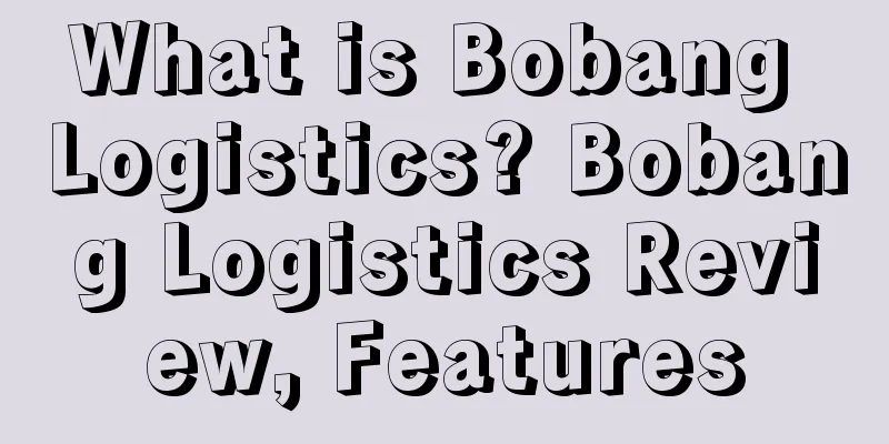 What is Bobang Logistics? Bobang Logistics Review, Features