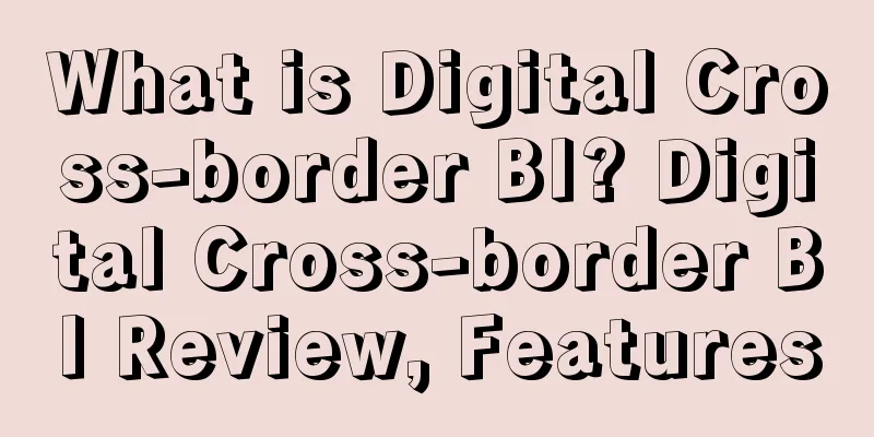 What is Digital Cross-border BI? Digital Cross-border BI Review, Features