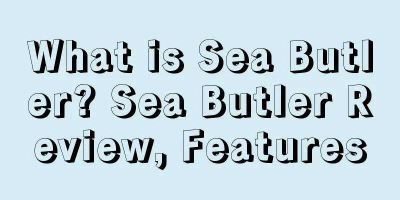 What is Sea Butler? Sea Butler Review, Features