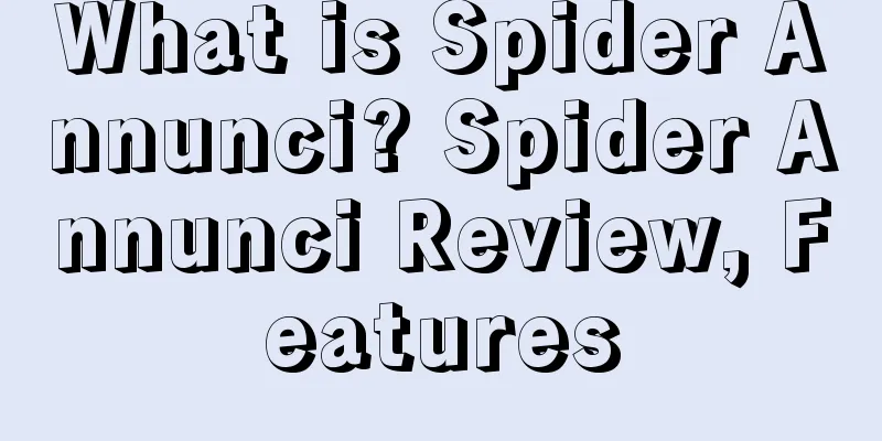What is Spider Annunci? Spider Annunci Review, Features