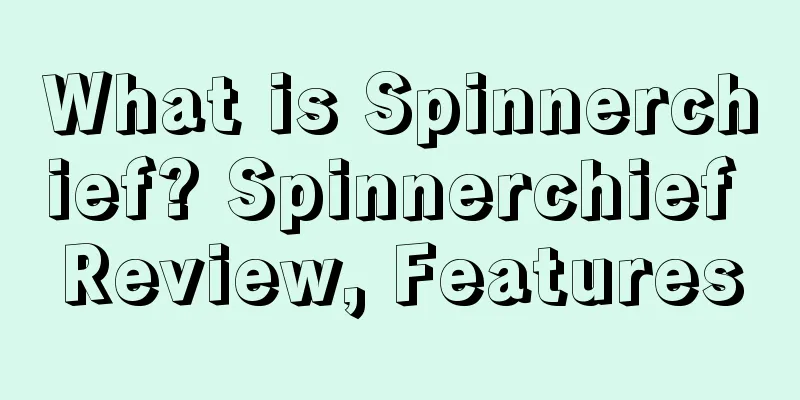 What is Spinnerchief? Spinnerchief Review, Features