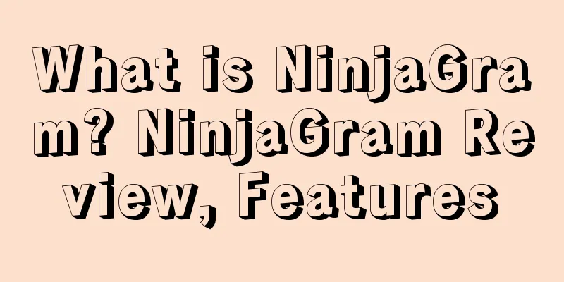 What is NinjaGram? NinjaGram Review, Features